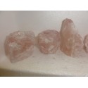 Roževec stoječi 4,5-7Cm A kvaliteta