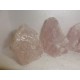 Roževec stoječi 4,5-7Cm A kvaliteta