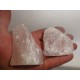 Roževec stoječi 4,5-7Cm A kvaliteta