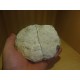 Geoda kamena strela 12-15Cm 