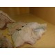 Pink Opal 6-10Cm