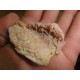 Pink Opal 6-10Cm