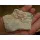 Pink Opal 6-10Cm