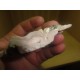 Pink Opal 6-10Cm