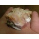 Pink Opal 6-10Cm