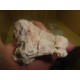Pink Opal 6-10Cm