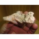 Pink Opal 6-10Cm