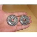 Donut Turritella 5Cm