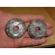 Donut Turritella 5Cm