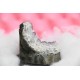 Ametist del geode8x5x8Cm