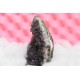Ametist del geode8x8x14Cm