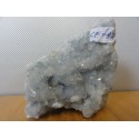 Celestin 9X5X9Cm