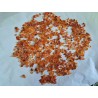 Karneol xxs poliran 100g