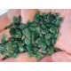 Zeleni aventurin xxs poliran 100g