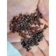 Granat xxs poliran 100g