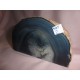 Ahat geoda 2 16X3,5X9Cm
